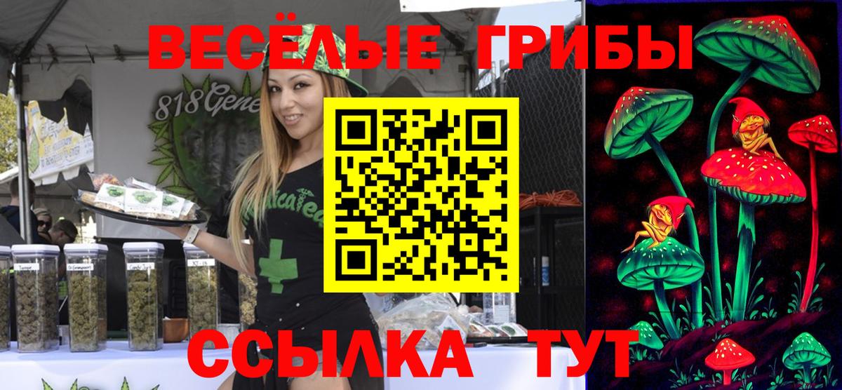 наркошоп  Вход с VPN  Галлюциногенные грибы мухоморы  Аргун  Галлюциногенные грибы Cubensis 